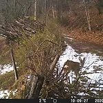 Casa Nel Bosco