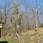 Casa Nel Bosco بيت للعطل *