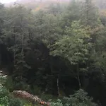 Casa Nel Bosco *