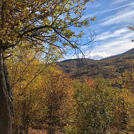 Casa Nel Bosco Holiday home *