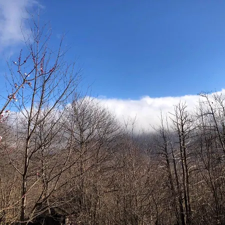 Casa Nel Bosco بيت للعطل Osiglia