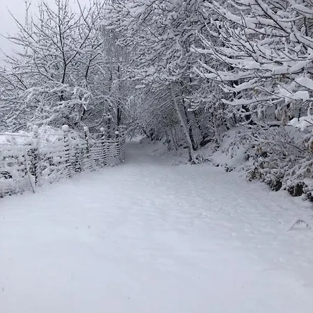 Holiday home Casa Nel Bosco