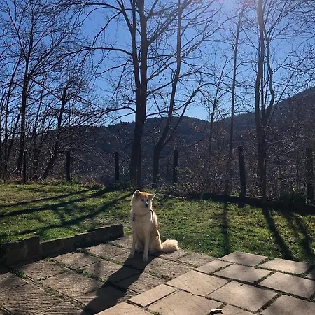 Casa Nel Bosco Holiday home *