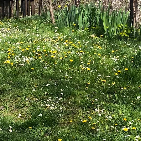 Casa Nel Bosco Holiday home