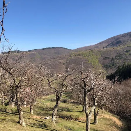 Casa Nel Bosco Holiday home *