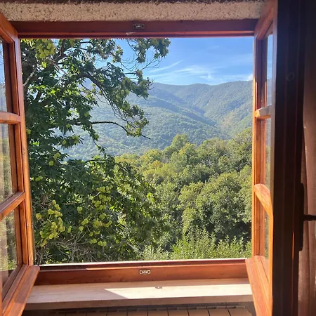 Casa Nel Bosco *