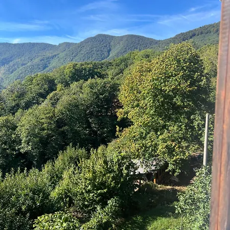 Casa Nel Bosco Osiglia