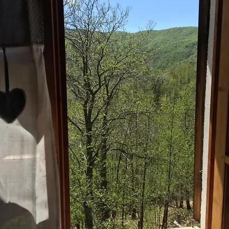 Casa Nel Bosco