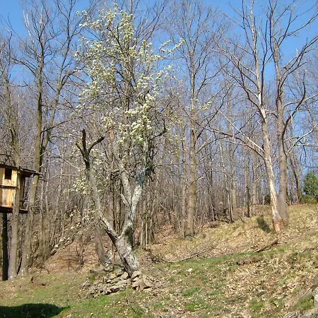 Casa Nel Bosco Holiday home *