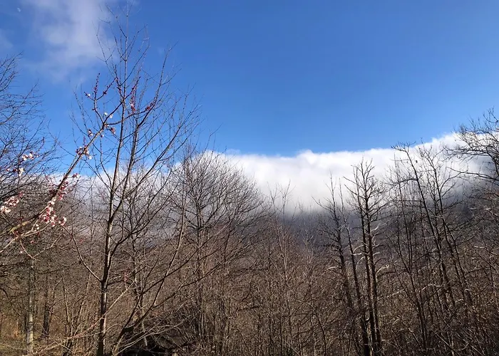 Casa Nel Bosco Semesterbostad Osiglia