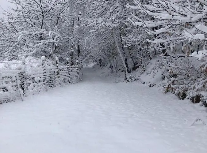 בית נופש Casa Nel Bosco