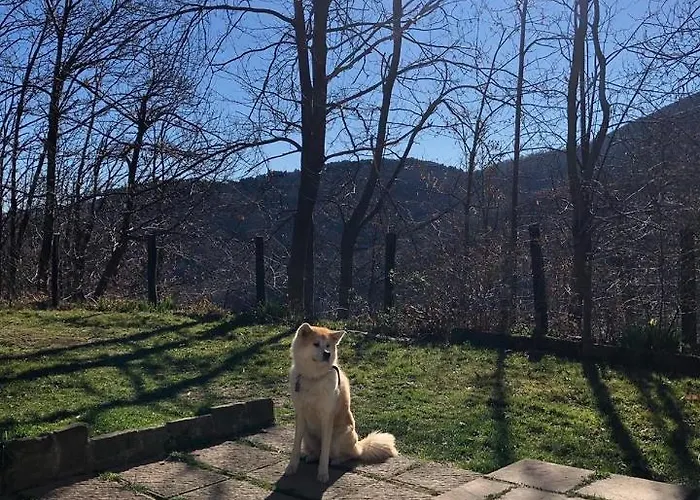 Casa Nel Bosco בית נופש *