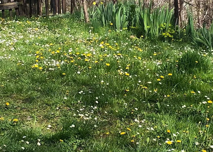 Casa Nel Bosco בית נופש