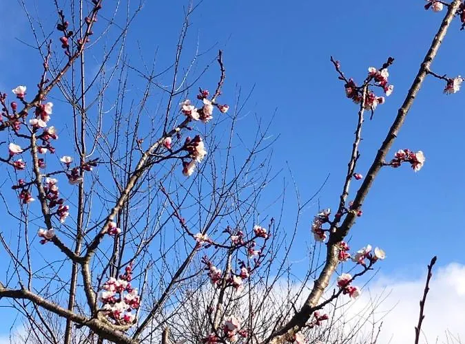 Casa Nel Bosco Osiglia