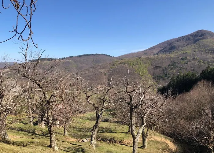 Casa Nel Bosco Semesterbostad *