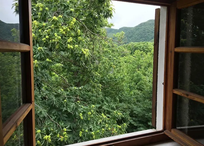 Casa Nel Bosco Semesterbostad Osiglia