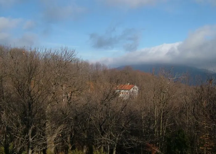 Casa Nel Bosco Osiglia
