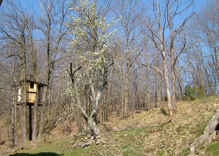 Casa Nel Bosco Semesterbostad *